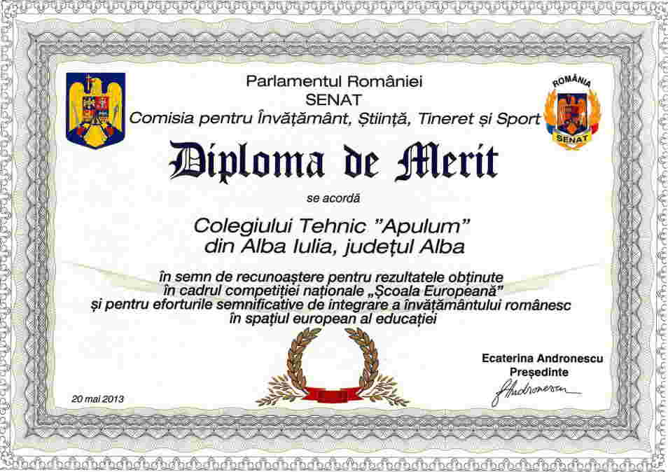 Diploma de merit 2013